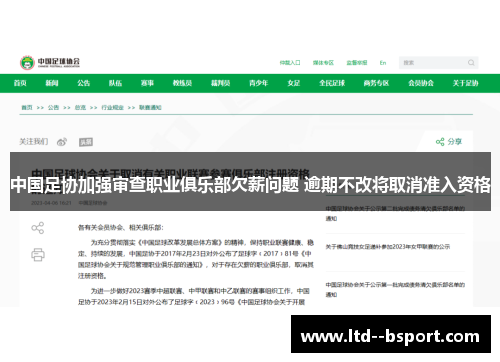 中国足协加强审查职业俱乐部欠薪问题 逾期不改将取消准入资格