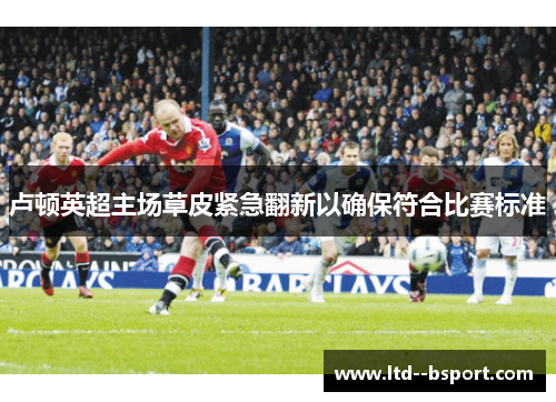 卢顿英超主场草皮紧急翻新以确保符合比赛标准